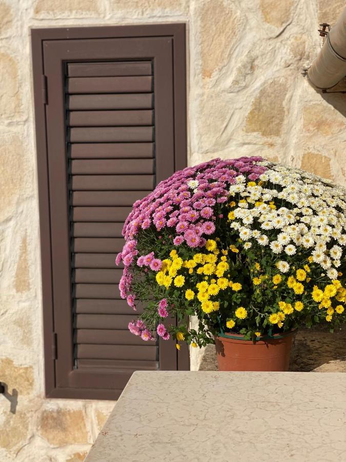 Madre Terra Holiday home